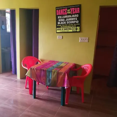 Homey Jamaican Studio
